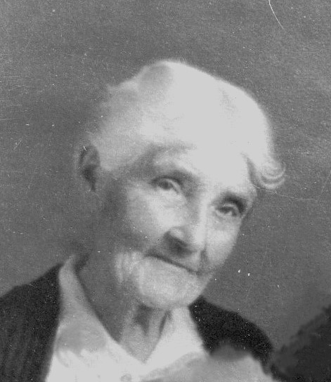 Ann Barton McNichols (1838 - 1925) Profile
